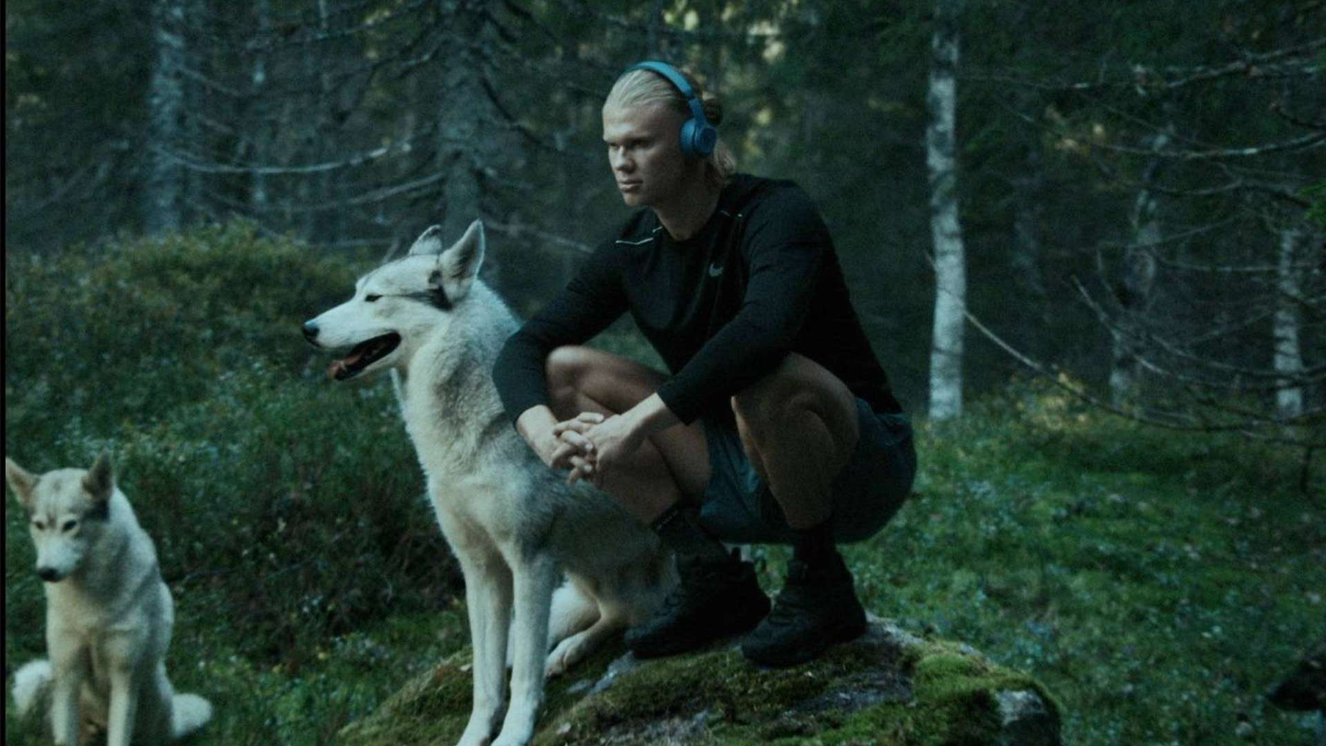 挑战的未来 挑战的未来